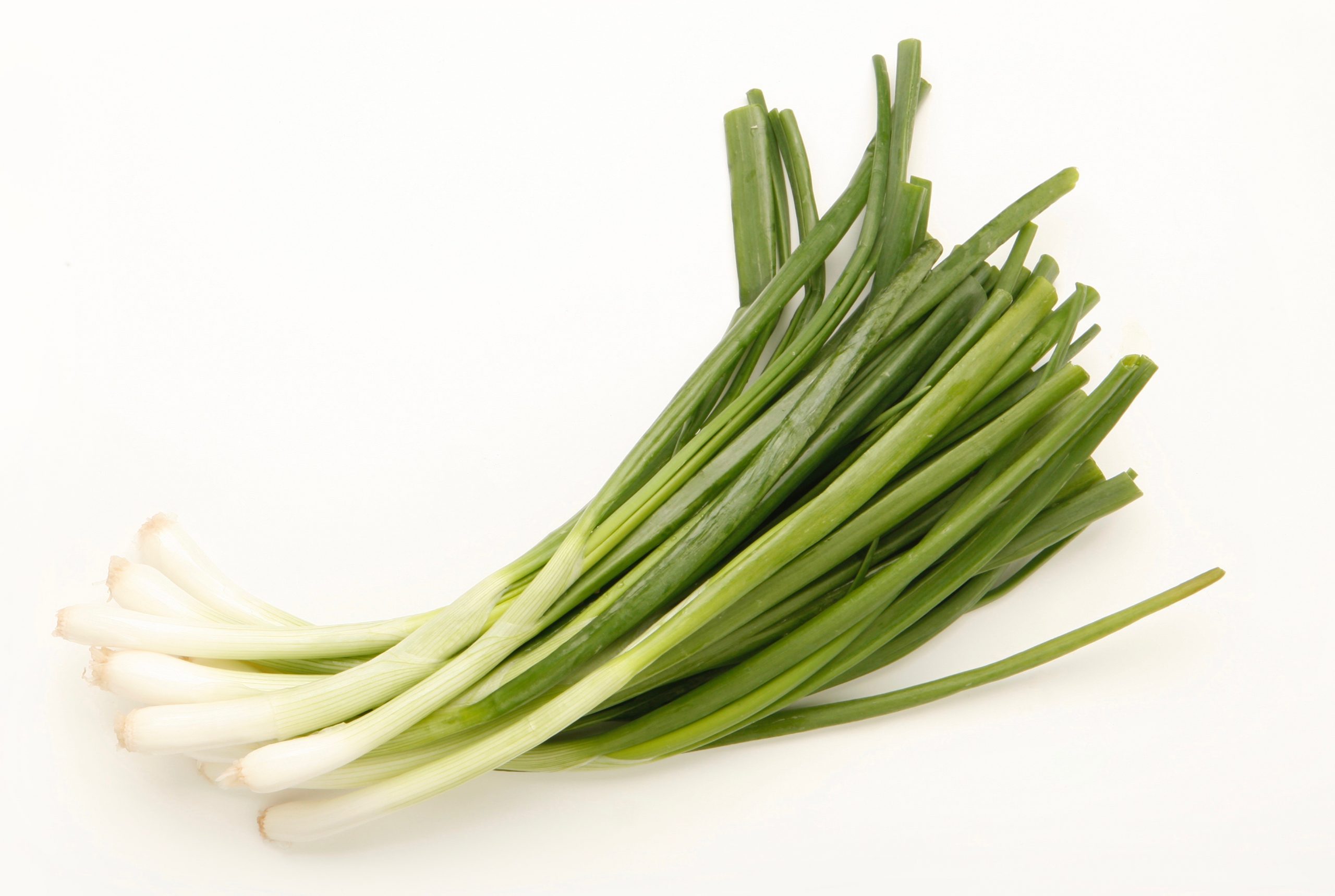 Ingredients Needed spring onion 